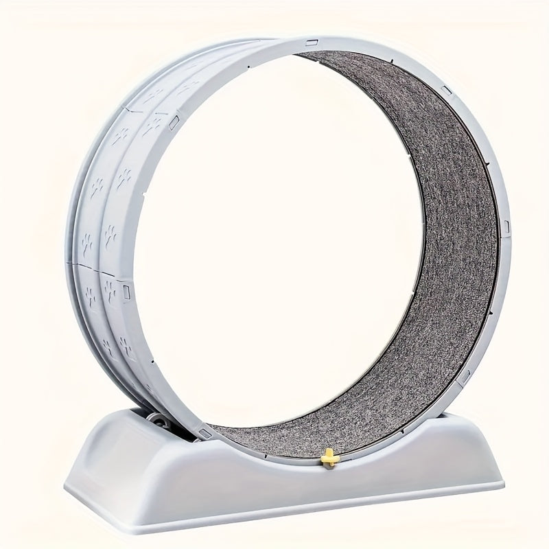 Cat Running Wheel