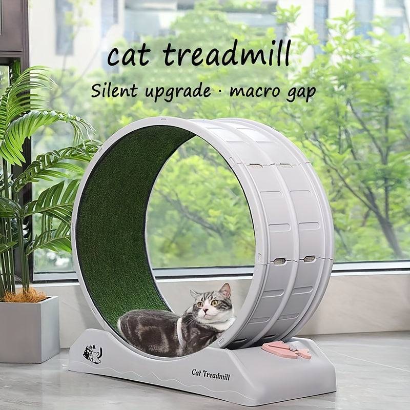Cat Running Wheel