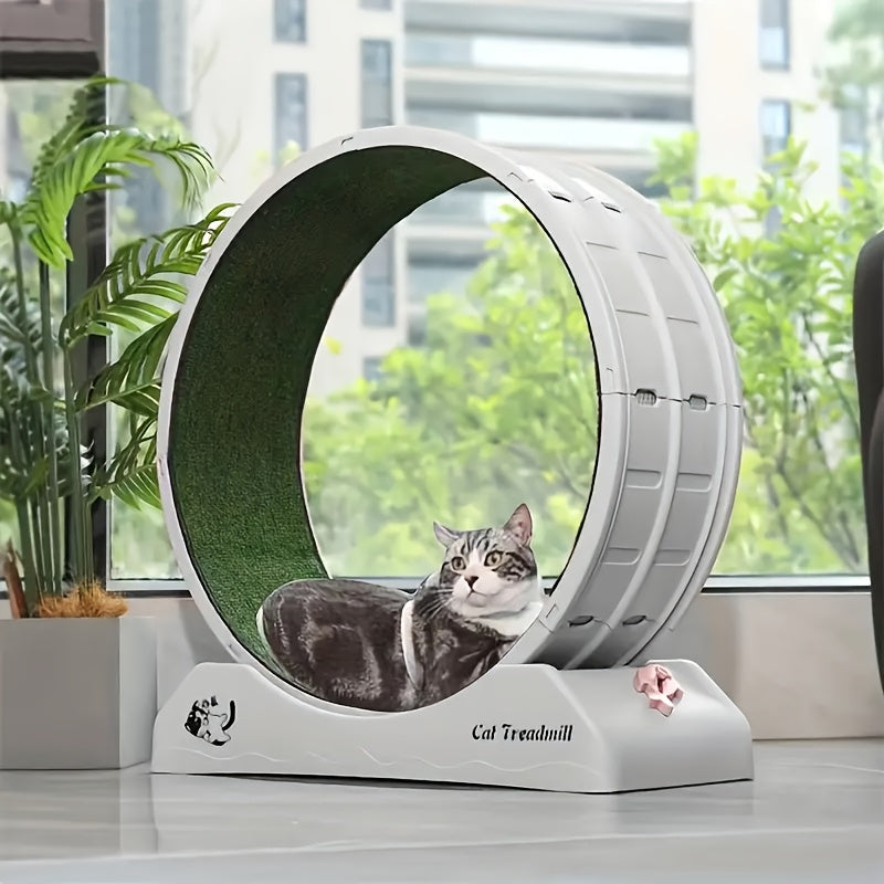 Cat Running Wheel