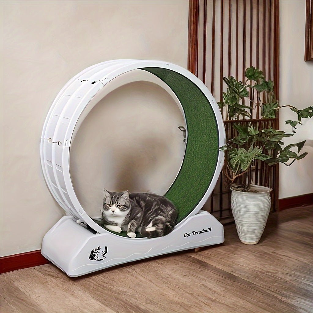 Cat Running Wheel