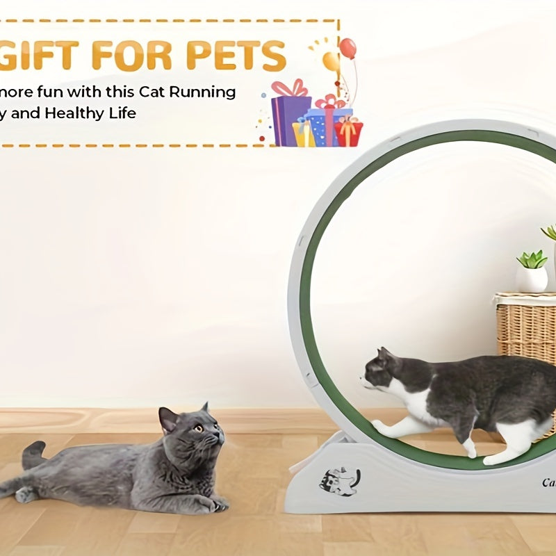 Cat Running Wheel