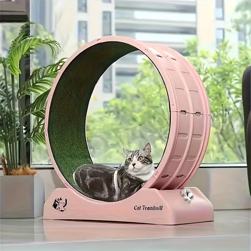 Cat Running Wheel