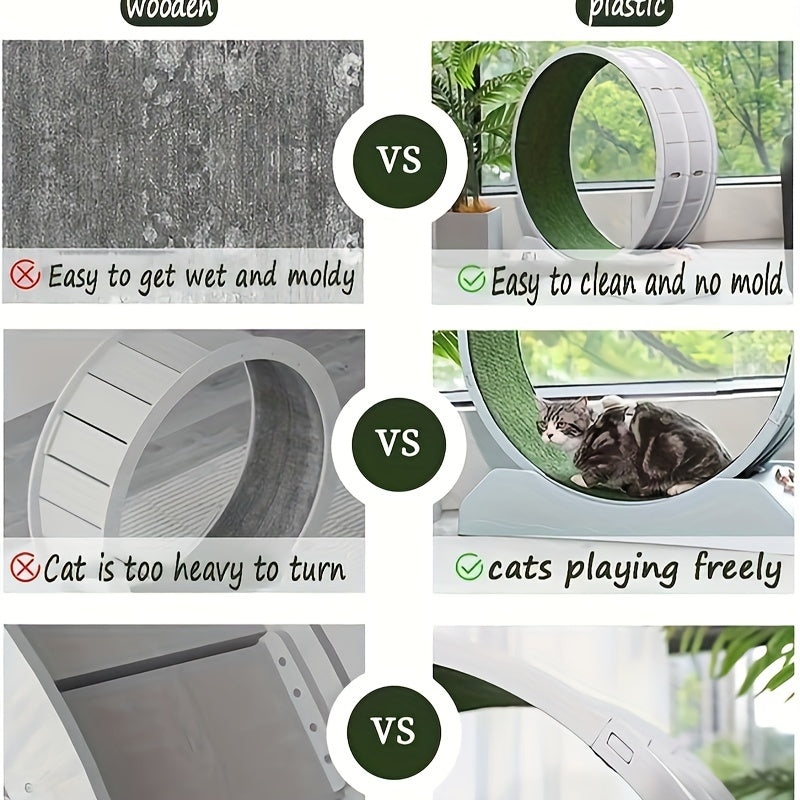Cat Running Wheel