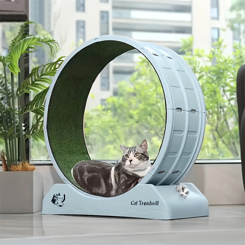 Cat Running Wheel